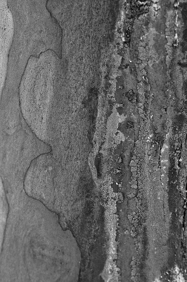 The Violation: A poetry&nbsp;collection